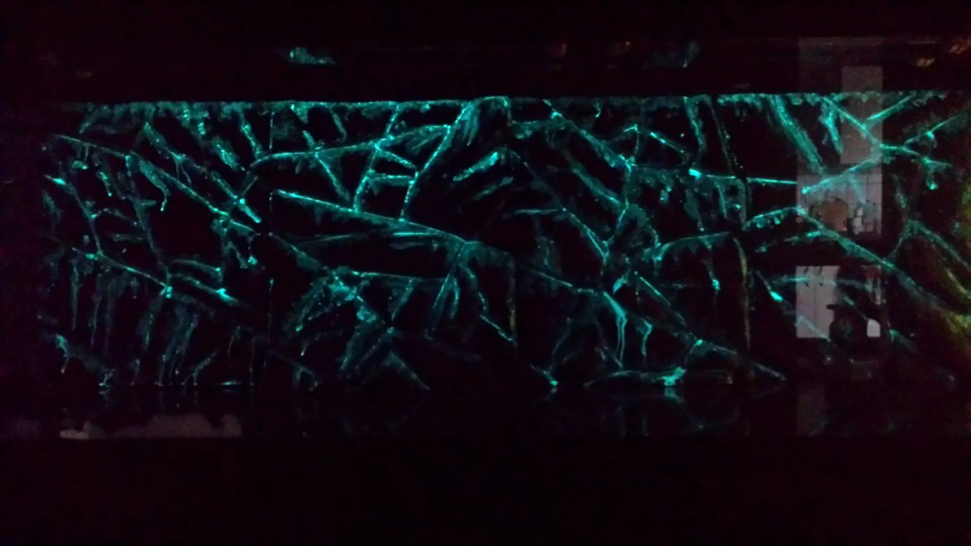 Glow in the dark aquarium achterwand in donker