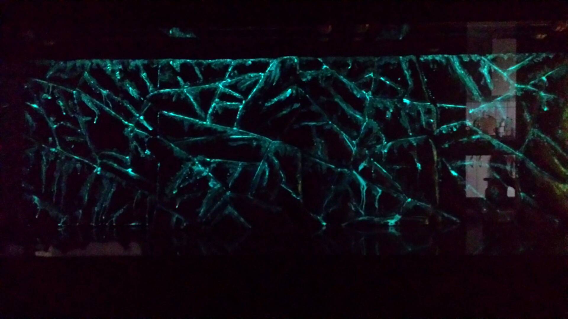 Glow in the dark aquarium achterwand in donker