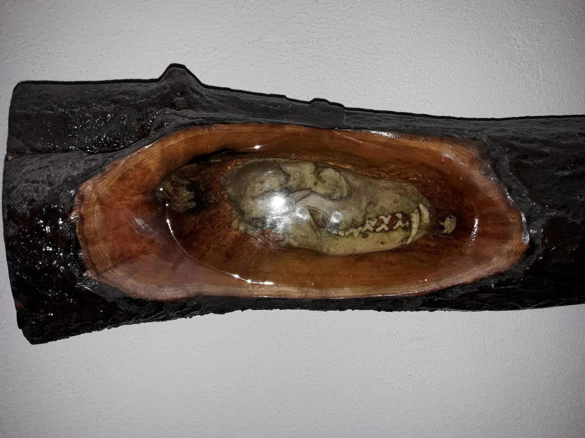epoxy gieten