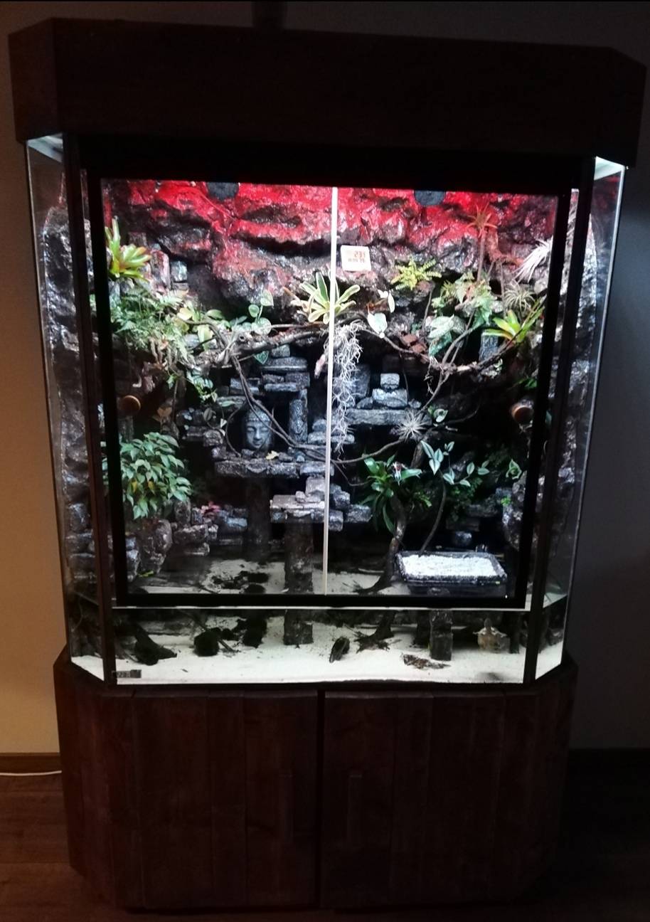 epoxy-paludarium-achterwand