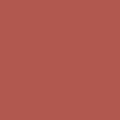 roodbruinepifanes (1).png
