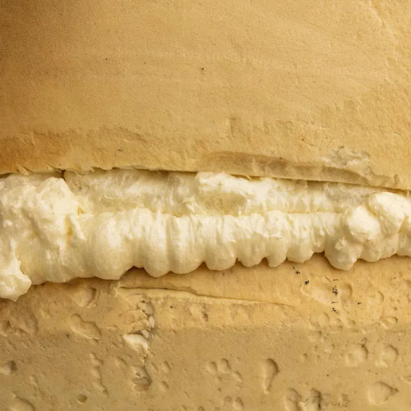 Epoxyschuim en PU schuim icoon