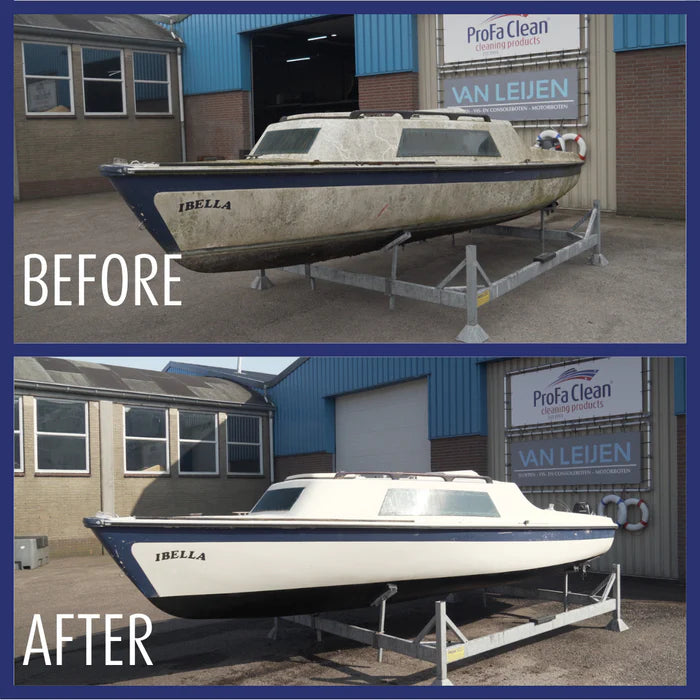 ProFaclean Multishine